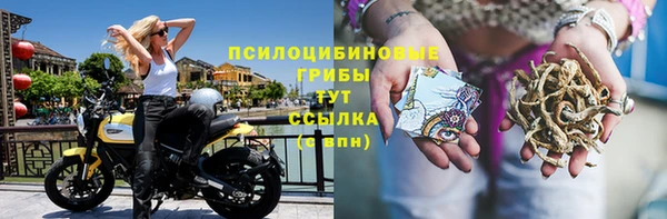 MESCALINE Белокуриха